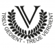 bdv-logo.jpg